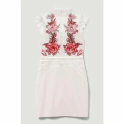 Cheapest 🔥 KarenMillen Rose Guipure Lace Mini 👗 Dress For Female 🧨 -Karen Millen Sales unnamed file 2649