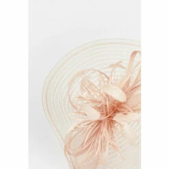 Brand new 😀 KarenMillen Feather Detail Fascinator For Female 🤩 -Karen Millen Sales unnamed file 625